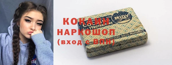 хмурый Аркадак