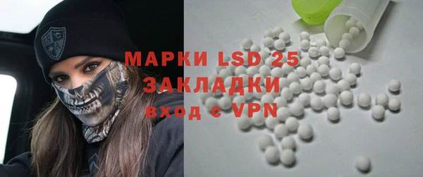 хмурый Аркадак