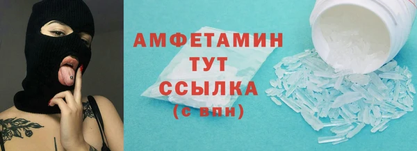 хмурый Аркадак