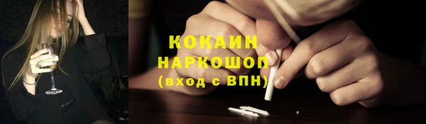 хмурый Аркадак