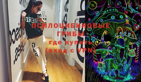шишки Касимов