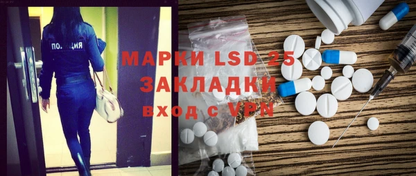 хмурый Аркадак
