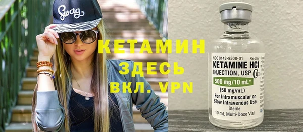 хмурый Аркадак