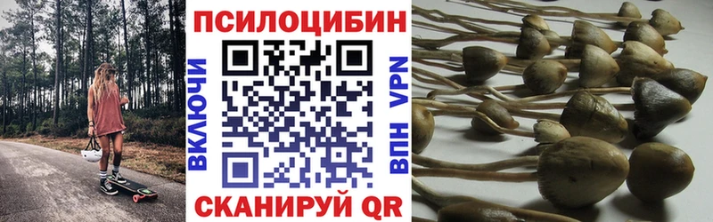 Псилоцибиновые грибы прущие грибы  даркнет какой сайт  Тобольск 