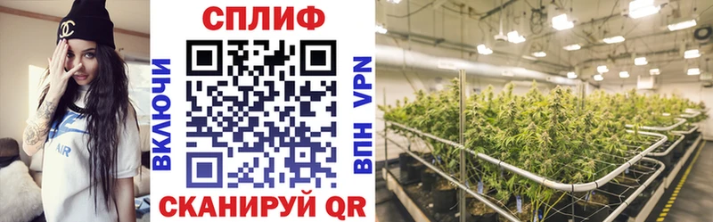 hydra сайт  цены   Тобольск  Шишки марихуана индика 